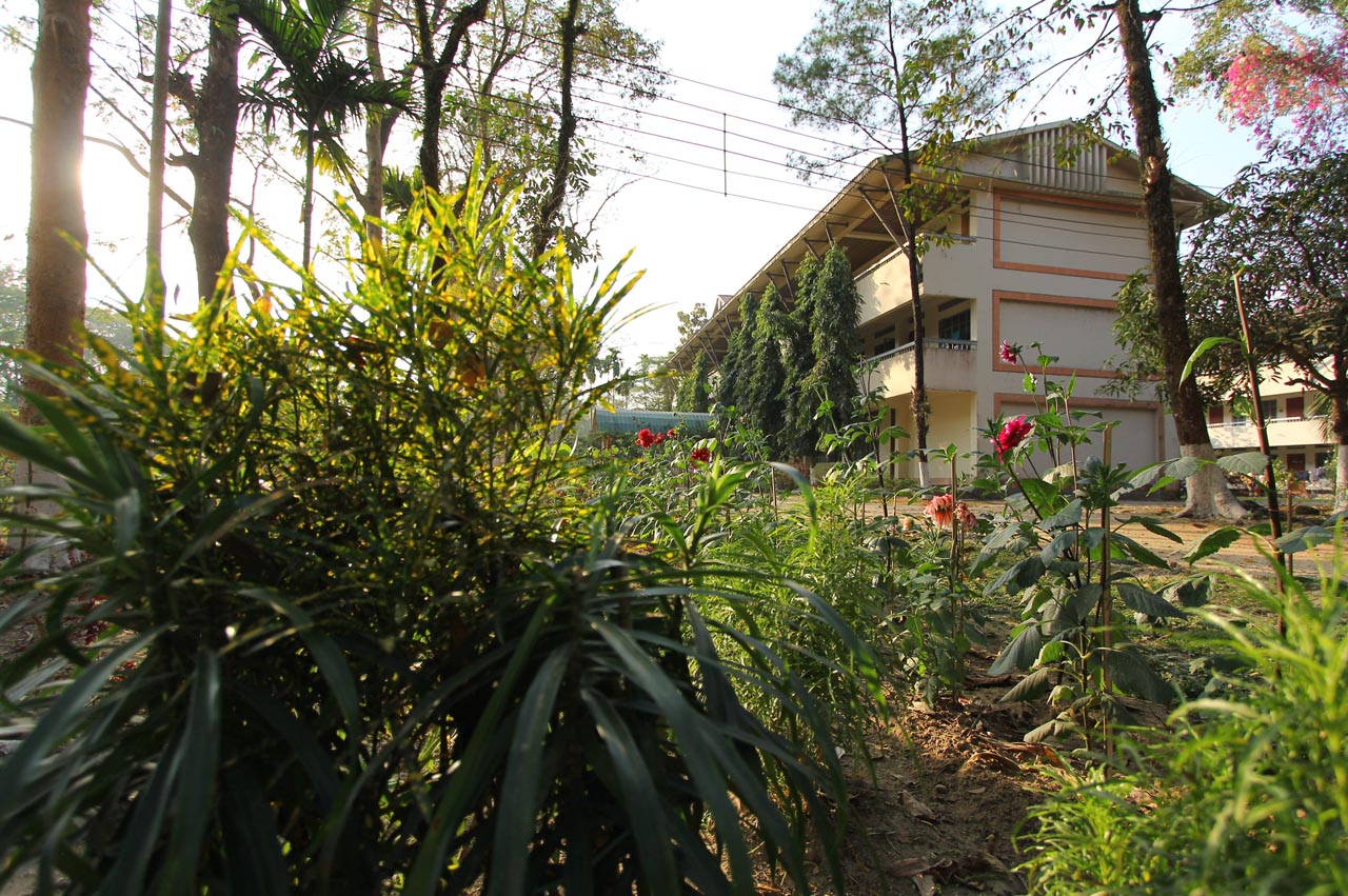 Exterior Image-2