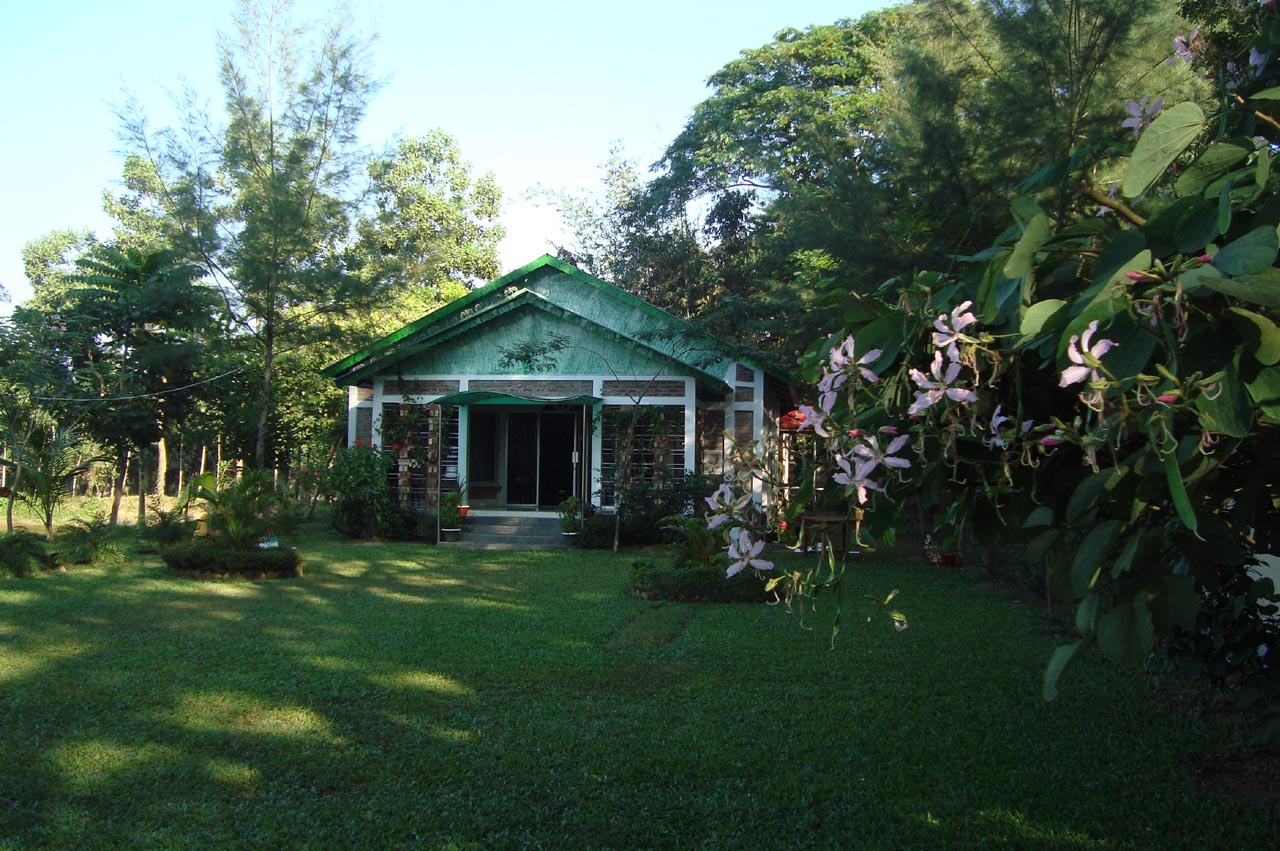 faculty